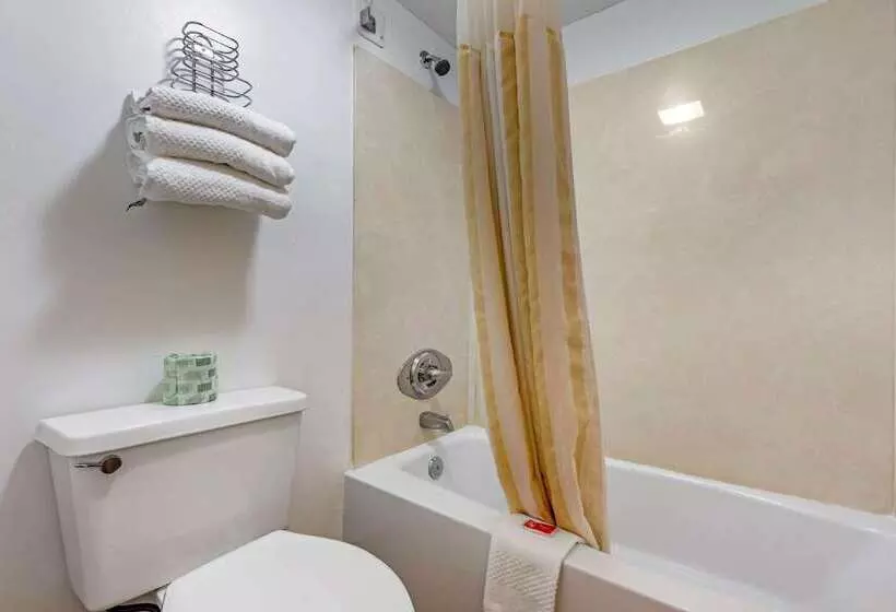 Отель Econo Lodge Inn & Suites