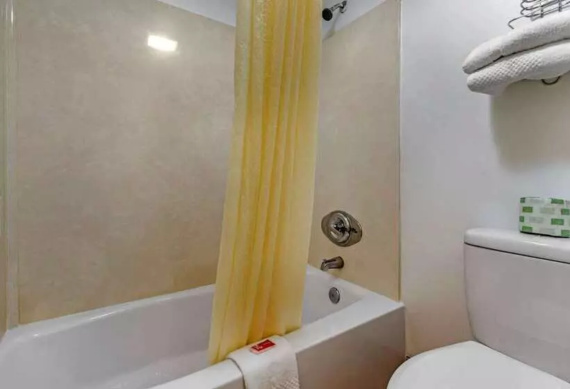 Отель Econo Lodge Inn & Suites