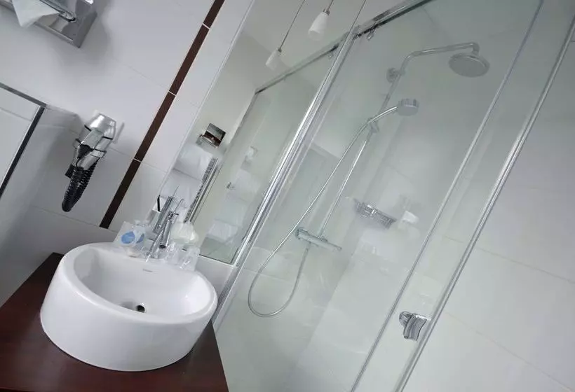 Hotel Best Western Dijon Centre Gare