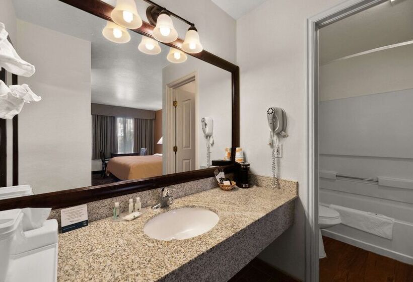 هتل Quality Inn Saint George South Bluff