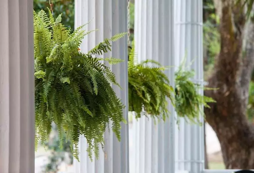 Отель Rhett House