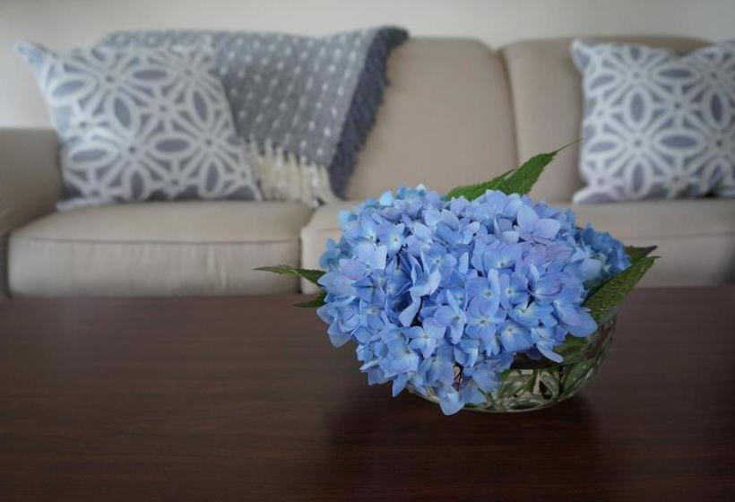 فندق على الطريق Chatham Tides