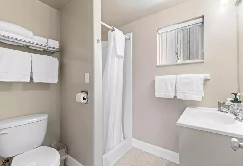 Мотель Lazy Duck Inn