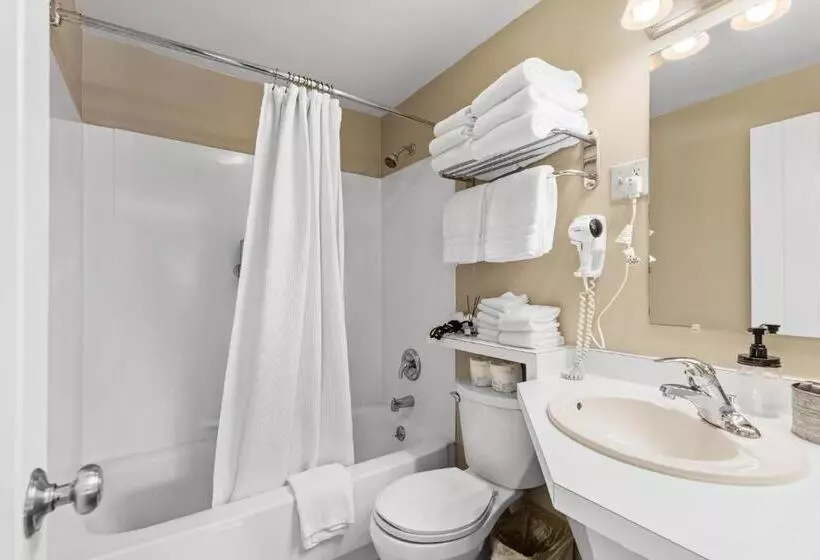 Мотель Lazy Duck Inn