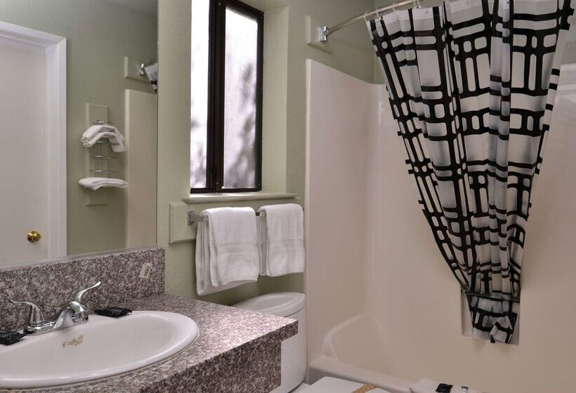 호텔 Americas Best Value Inn And Suites Clearlake