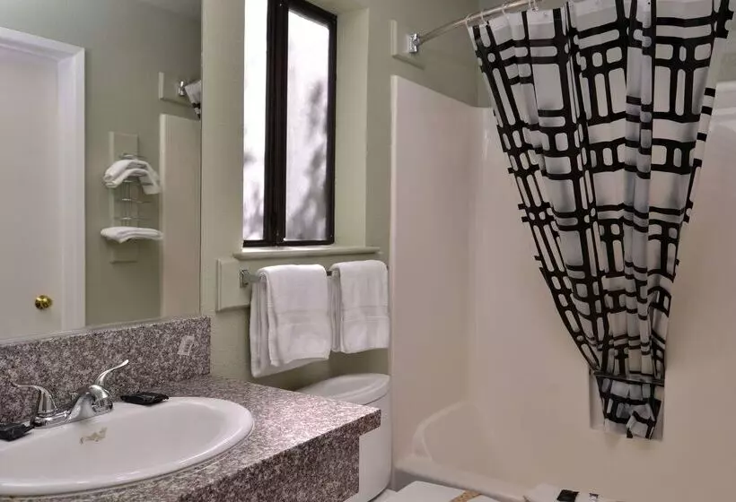 酒店 Americas Best Value Inn And Suites Clearlake