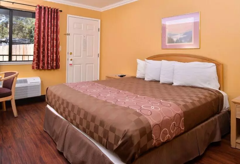 酒店 Americas Best Value Inn And Suites Clearlake