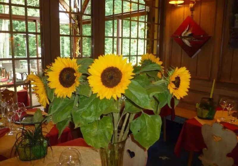 هتل Restaurant Les Pins Logis