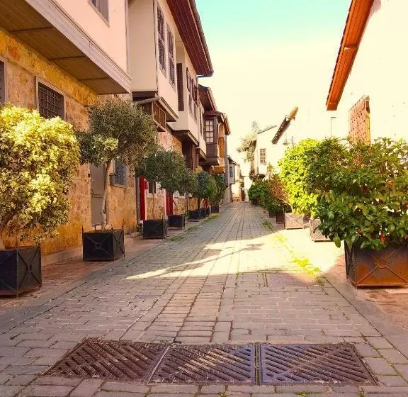 Alp Pasa Hotel   Special Class