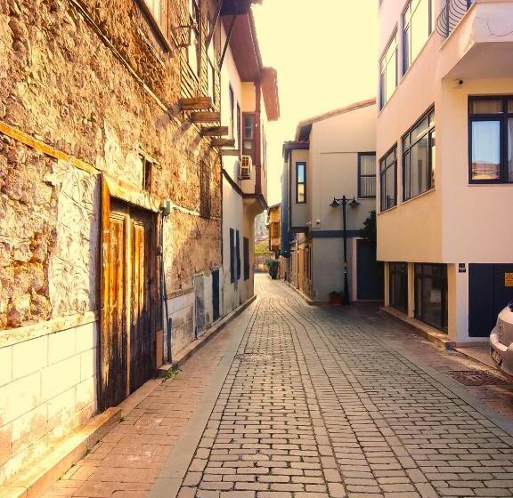 Alp Pasa Hotel   Special Class