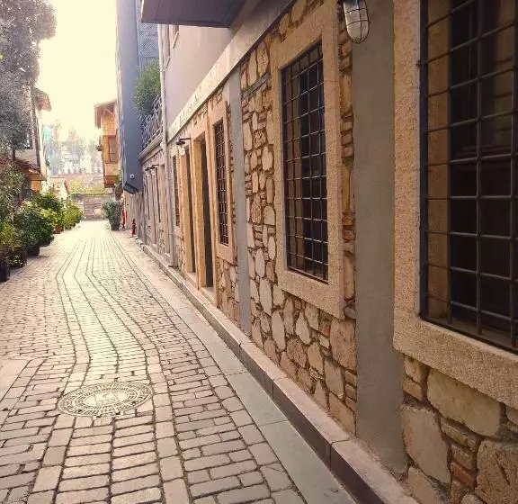 Alp Pasa Hotel   Special Class