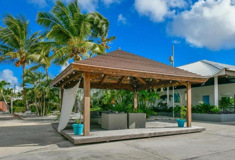 Aruba Blue Village Hotel And Apartments