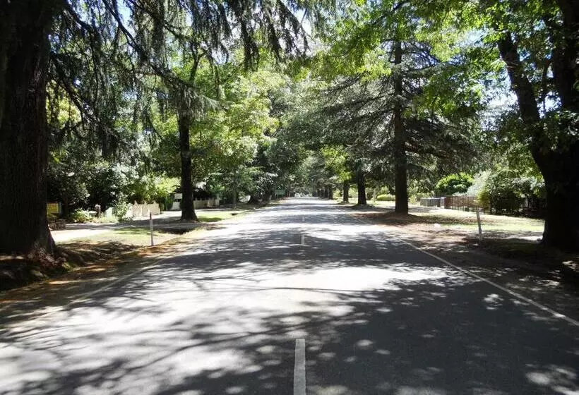 Motel Sierra   Bright