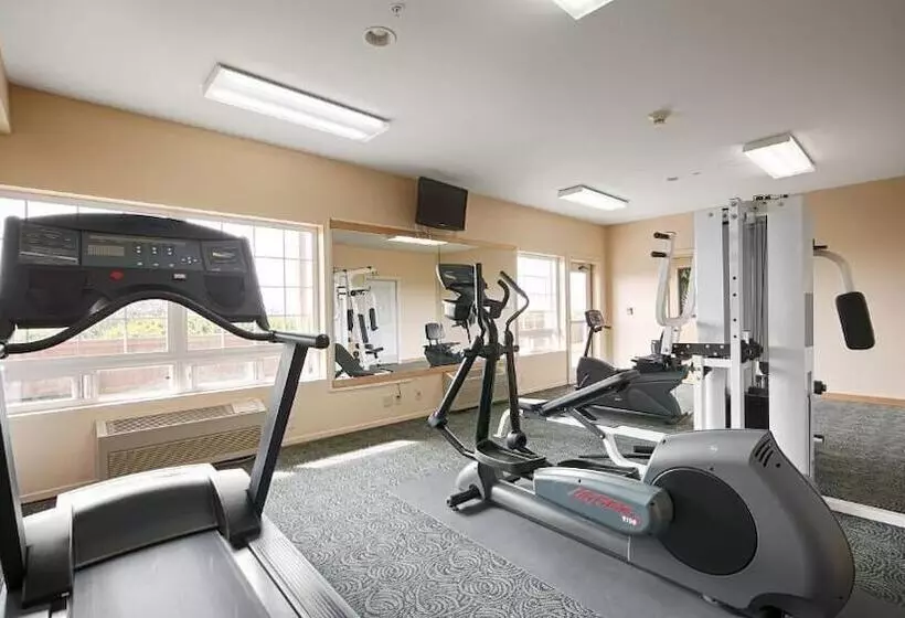 فندق Lighthouse Suites Inn