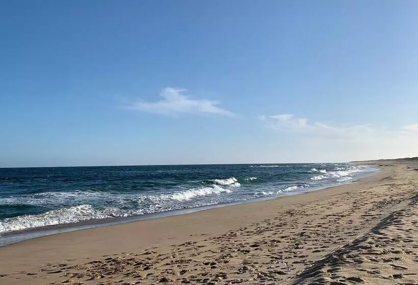 Cunningham Shore Motel