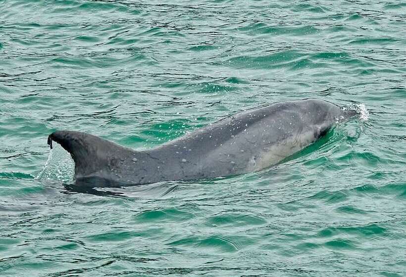 Cunningham Shore Motel