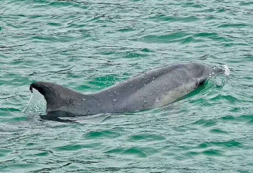 Cunningham Shore Motel
