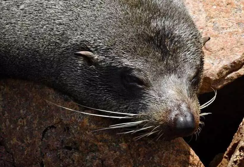 Cunningham Shore Motel