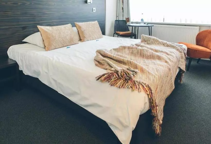 Отель Du Bassin