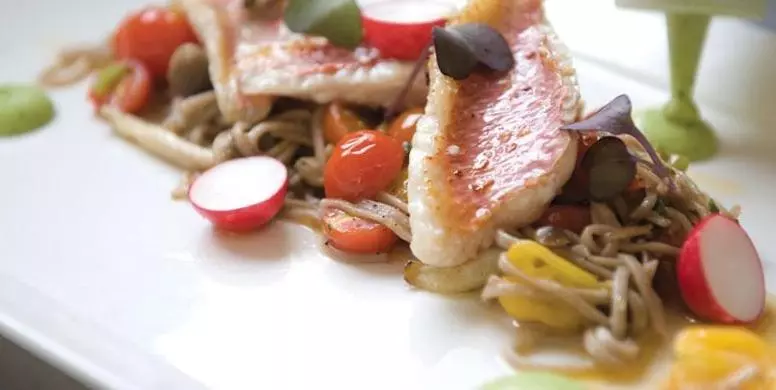 בית מלון כפרי Internos