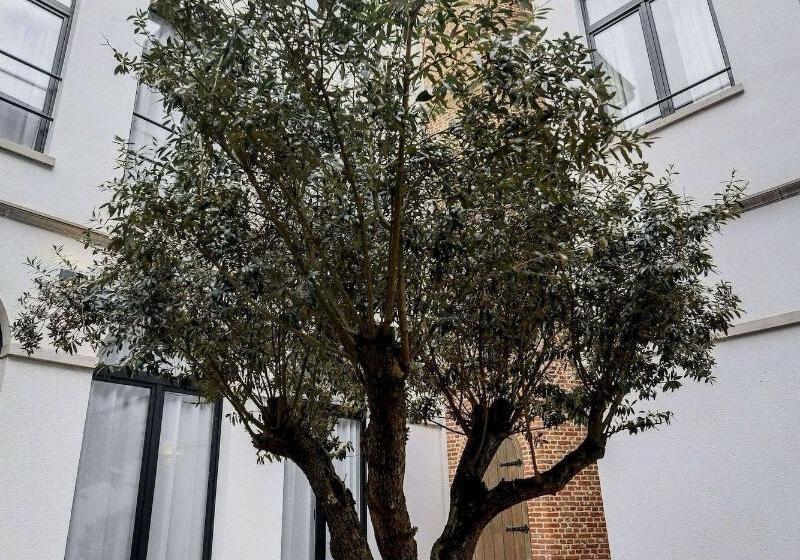 هتل Rubensgrote Markt