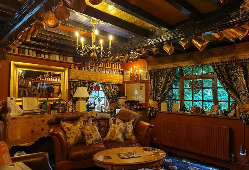 酒店 Wizards Thatch Luxury Suites