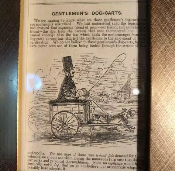 فندق Wizards Thatch Luxury Suites