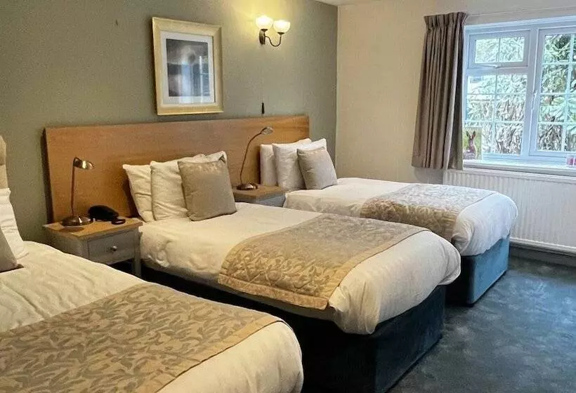 Отель Pettifers Freehouse