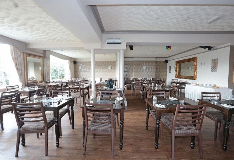 Lion Hotel & Studio Apartments