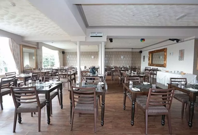 Lion Hotel & Studio Apartments