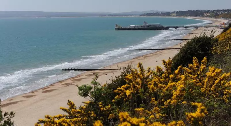 Suncliff Hotel   Oceana Collection