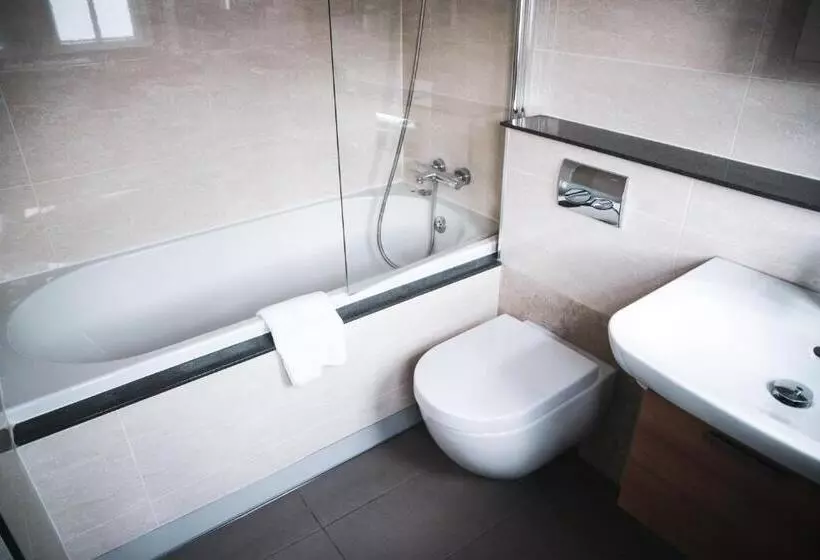 호텔 Three Salmons