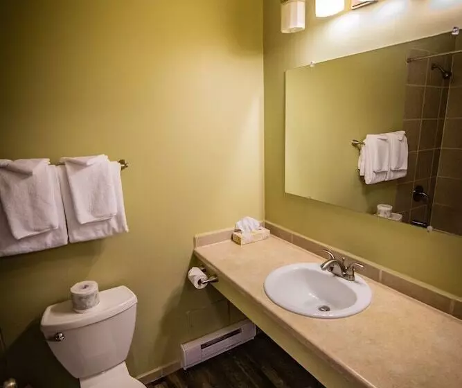 فندق على الطريق Alpine Inn & Suites