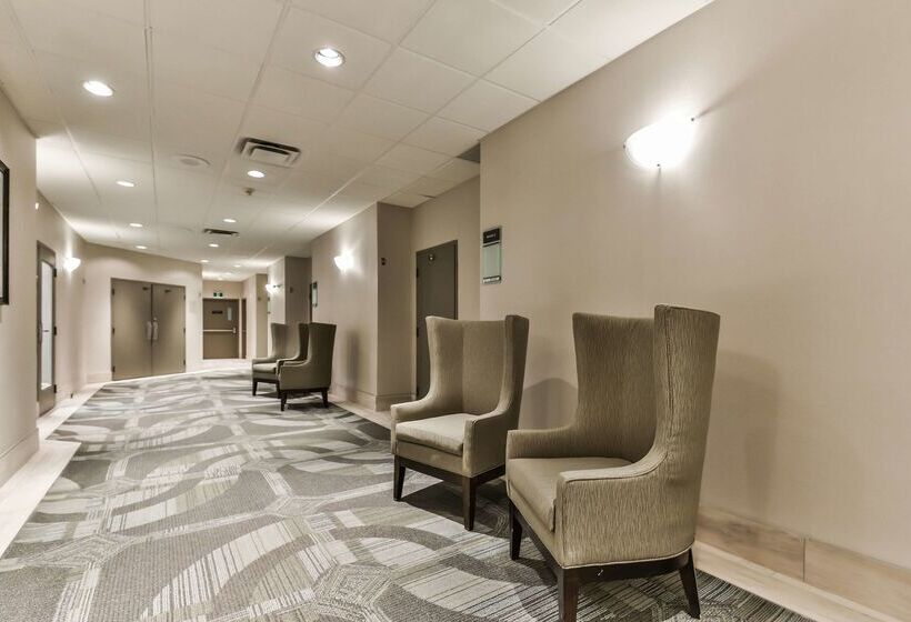 酒店 Best Western Plus Cambridge