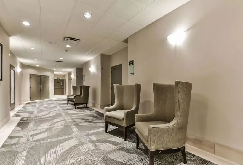 Отель Best Western Plus Cambridge