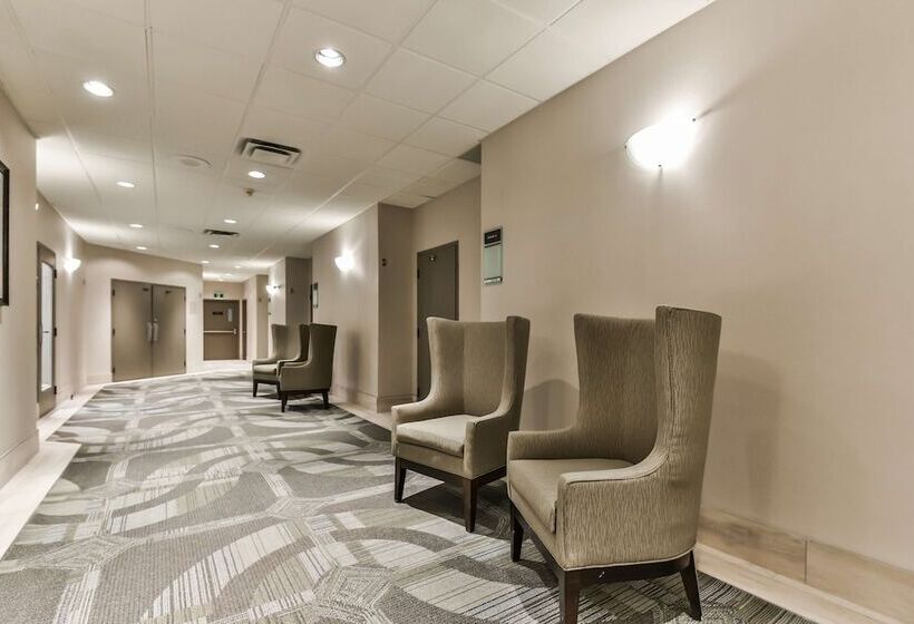 酒店 Best Western Plus Cambridge