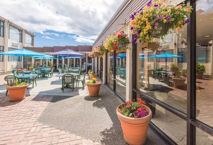 酒店 Coast Discovery Inn