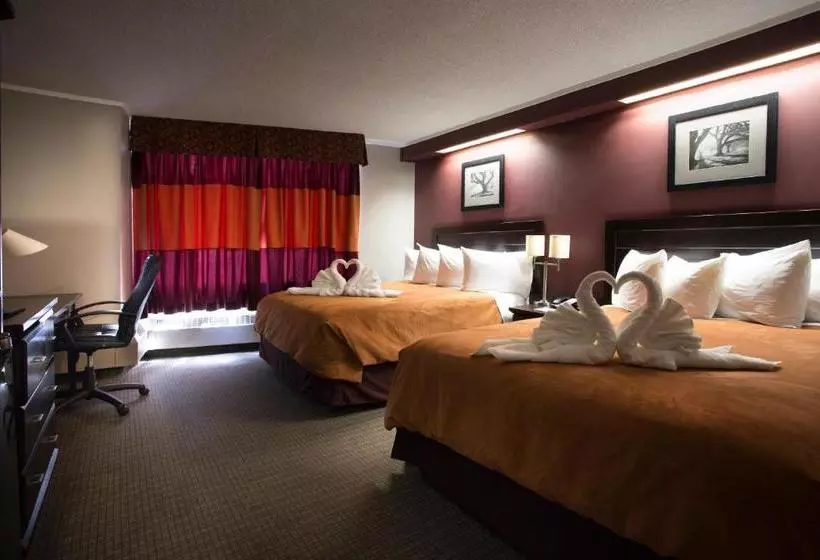 Отель Coliseum Inn