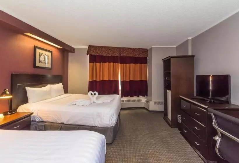 Отель Coliseum Inn