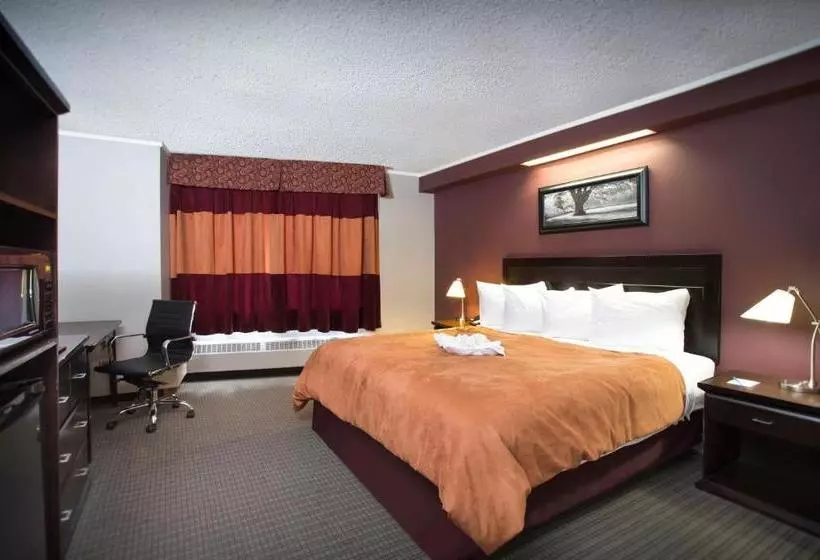 Отель Coliseum Inn