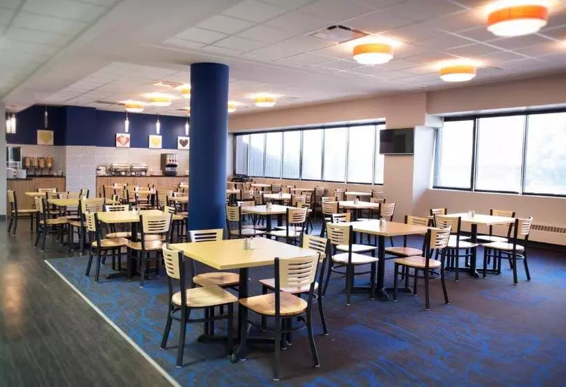 Отель Coliseum Inn