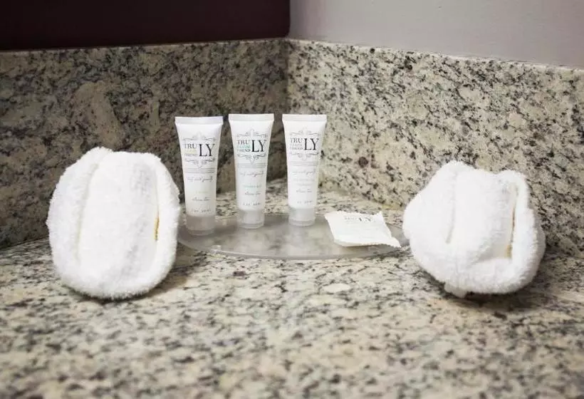 Отель Coliseum Inn