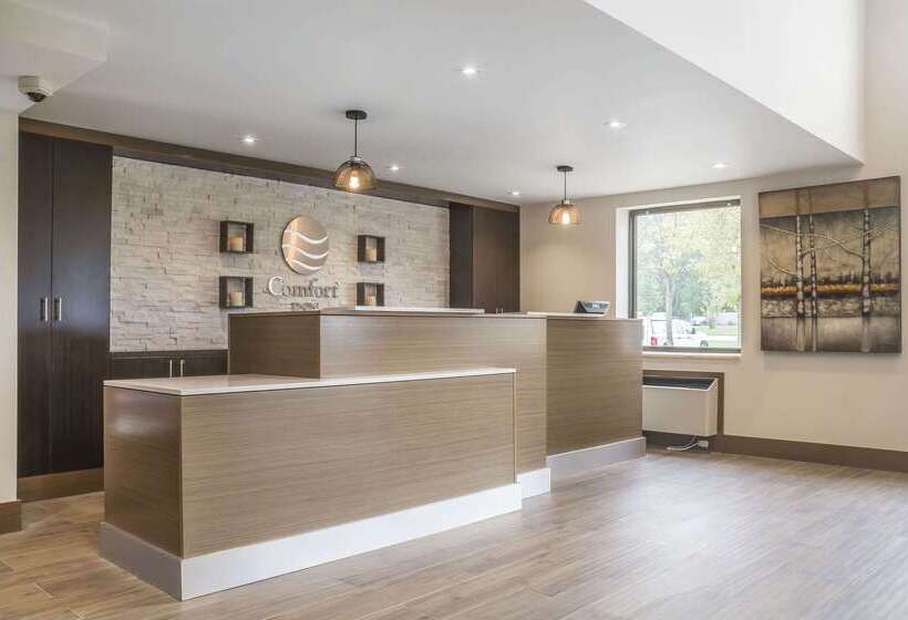 ホテル Comfort Inn