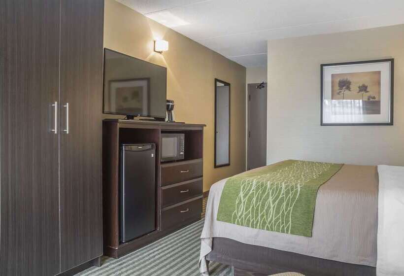 ホテル Comfort Inn