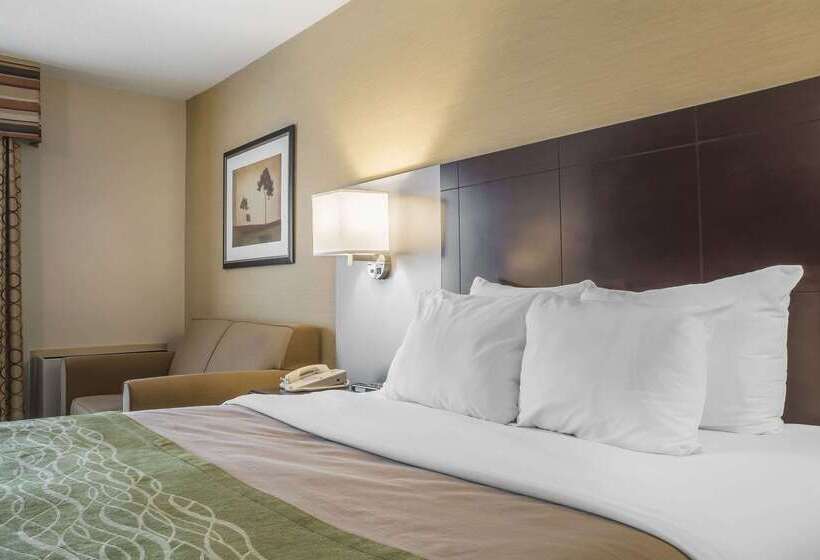 ホテル Comfort Inn