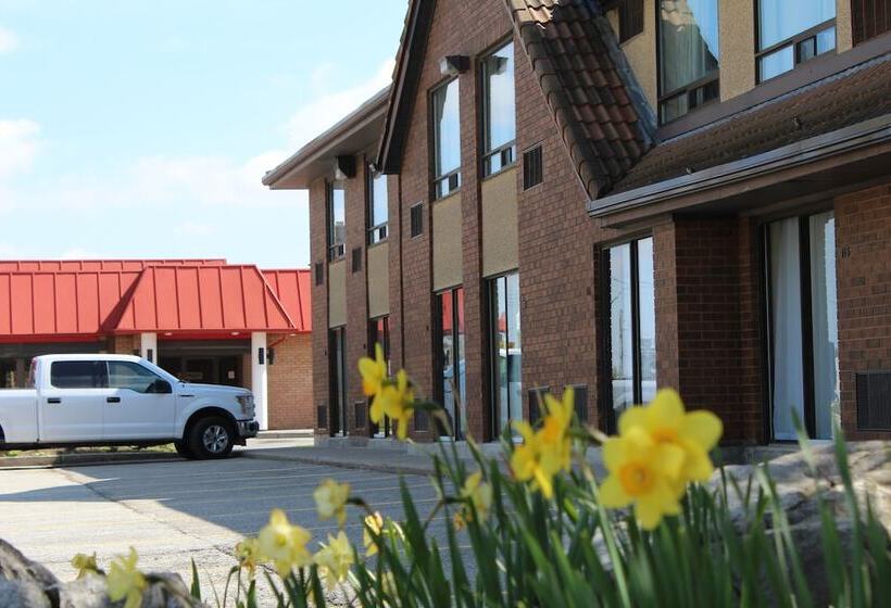 ホテル Comfort Inn