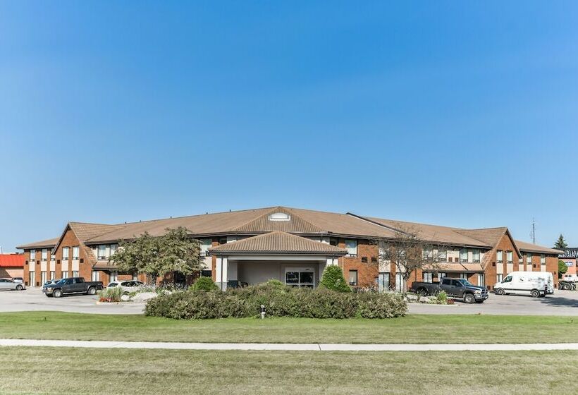 ホテル Comfort Inn