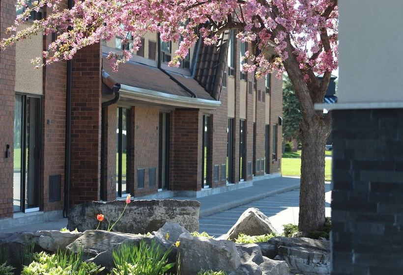 ホテル Comfort Inn