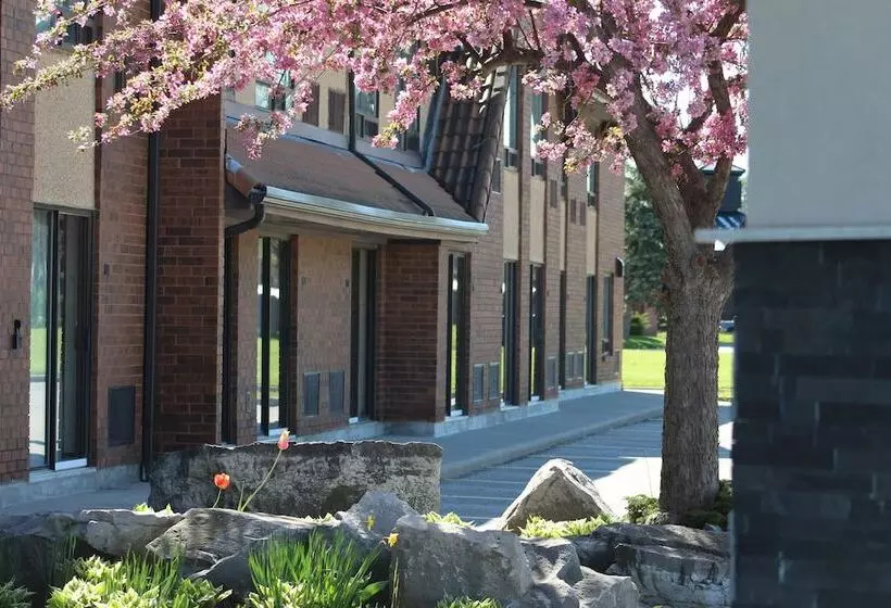 ホテル Comfort Inn