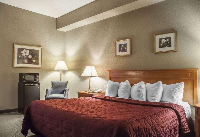 فندق Comfort Inn Lundy S Lane